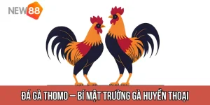 Đá Gà Thomo – Bí Mật Trường Gà Huyền Thoại Và Cách Chơi Trực Tuyến