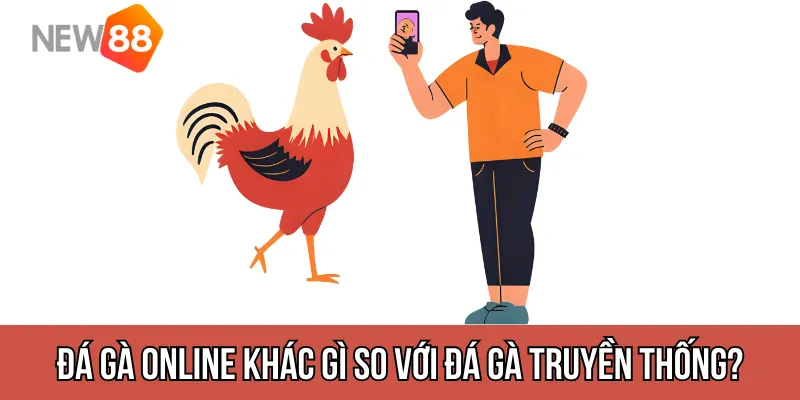 Đá gà online là gì và khác gì so với đá gà truyền thống?