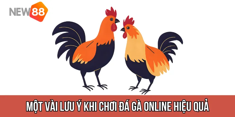 Một vài lưu ý khi chơi đá gà online an toàn và hiệu quả